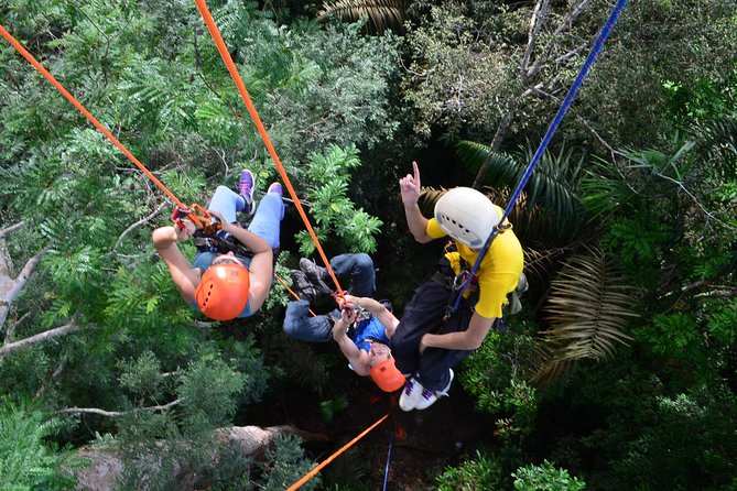 Tree Climbing in the Amazon - Reservation and Pricing Details