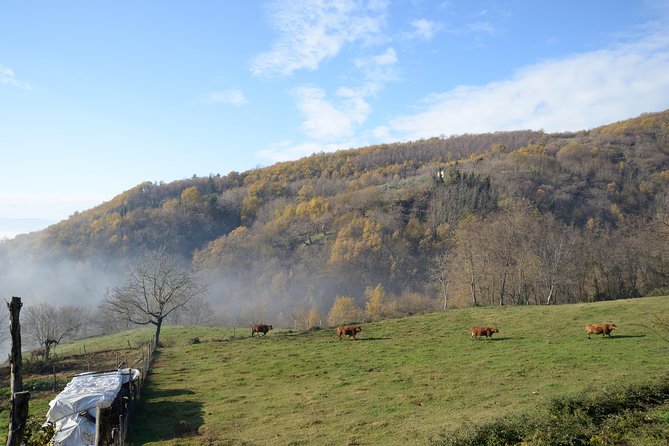 Trek the Apennines Mountains to the Ghost Village - Meeting Point: Vicchio Train Station