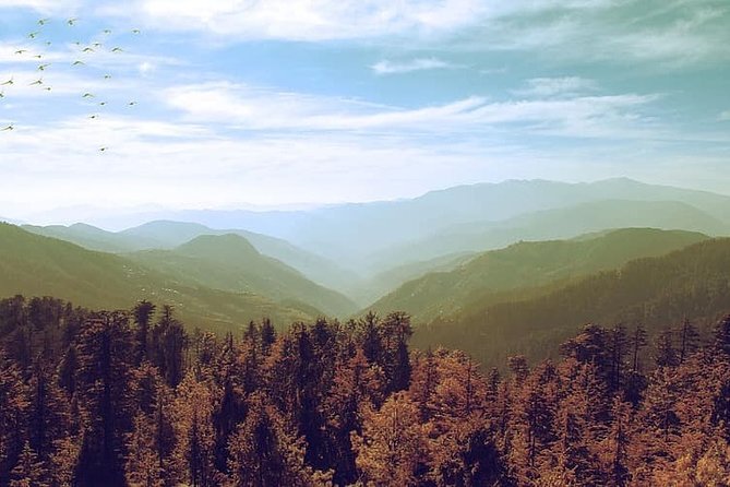 Trekking and Overnight Camp in Rishikesh - Meals and Refreshments
