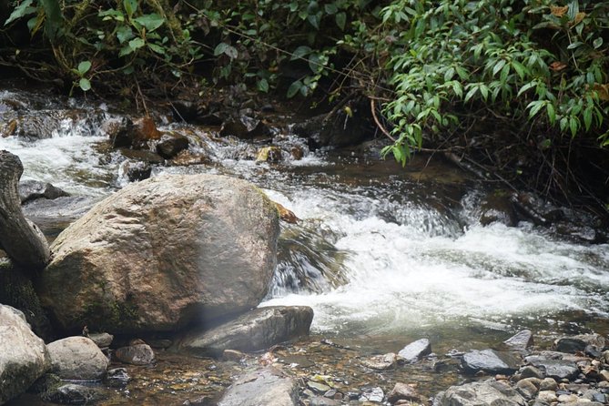 Trekking Finca La Argentina 2 Days (3450 Masl) - Meals Provided