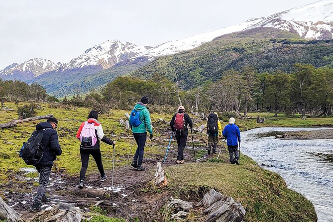 Trekking Vinciguerra Glacier and Laguna De Los Témpanos - Non-refundable Policy