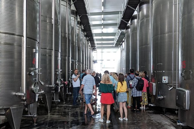 Trending Georgia - Private Wine Tour to Kakheti - Pickup and Transportation