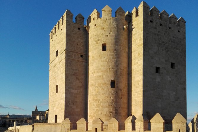 Trip From Malaga to Cordoba With Entrance to the Mosque - Price and Booking Information