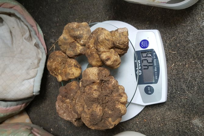 Truffle Hunt, With Italian National Truffle Hunting Association - Additional Information