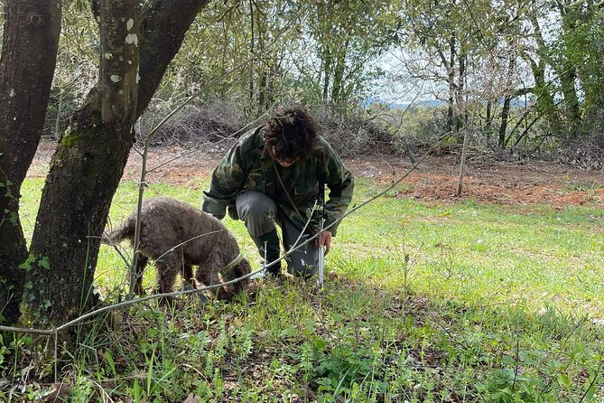Truffle Hunting Experience With Lunch and Chianti Wine Tasting - Pickup Information