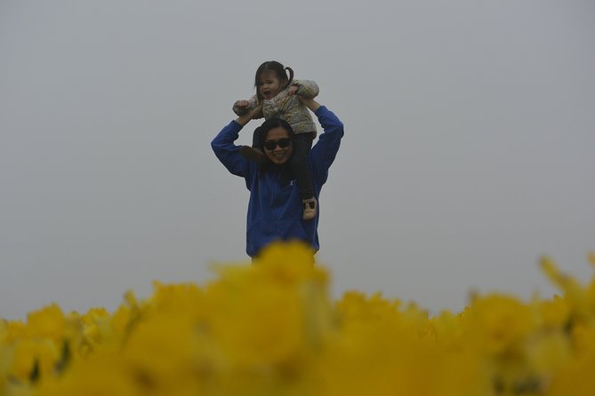 Tulipsfields Sightseeing - Pricing and Booking Details