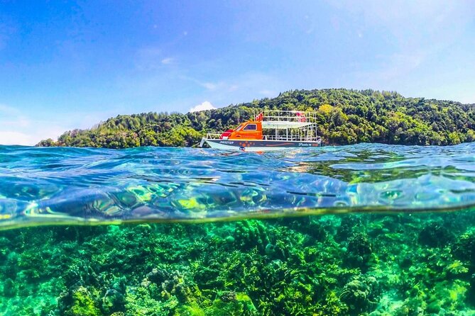 Tunku Abdul Rahman Marine Park Leisure Diving From Kota Kinabalu - Guide and Transportation Details
