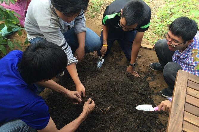 Turning Bio-Waste Into Useful Resources - Sustainable Tour - Tour Experience Expectations