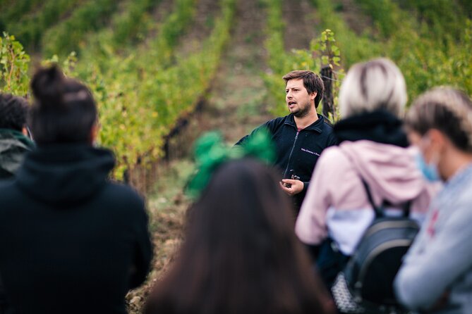 Tuscany Olive Oil Coffee & Wine Small Group Tour From Florence - Additional Information