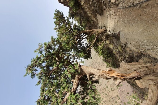 Two Days Valley Trek in the Atlas Mountains - Meeting Point Details