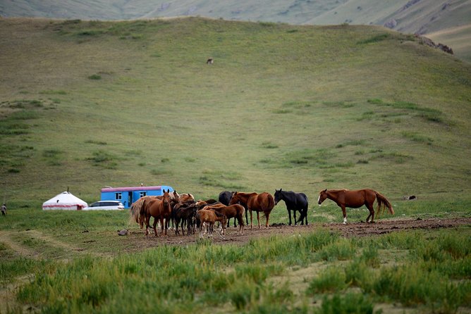 Two Fascinating Days in Suusamyr - Day 2: Exploring Suusamyrs Beauty