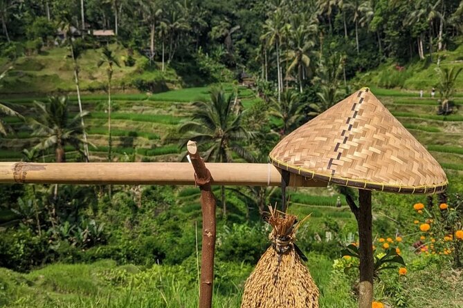 Ubud Half Day Zipline and Jungle Swing - Tour Highlights