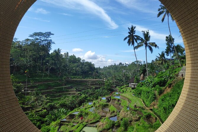 Ubud Highlights Private Day Tour - Inclusions and Additional Items