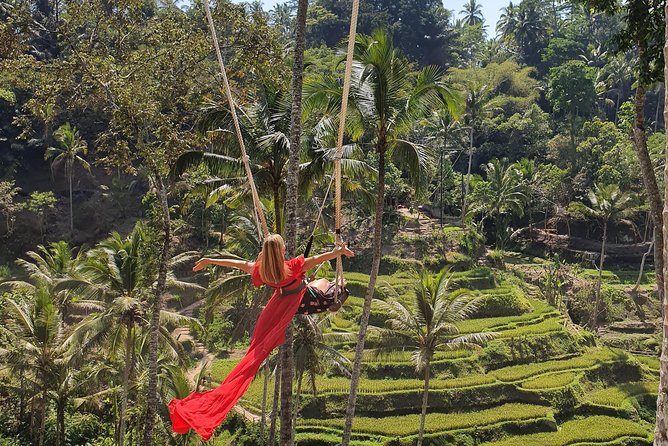 Ubud Shared Tour: Ubud Waterfalls, Tegalalang & Holy Water Temple - Pricing and Booking Details