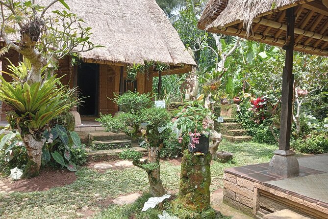 Ubud Tamansari Natural Pool Bali Swing Private Guided Tour - Inclusions