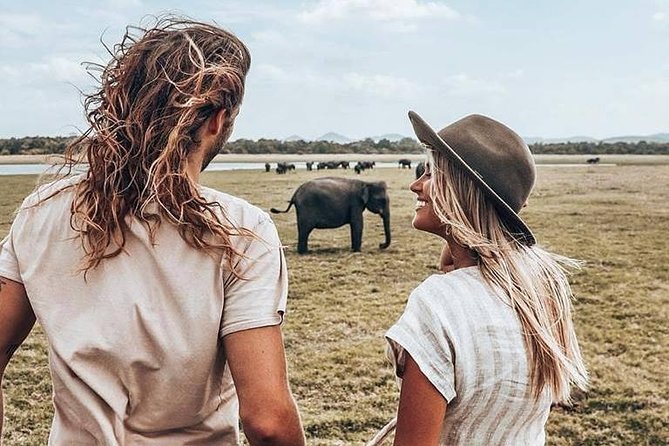 Udawalawe National Park and Elephant Transit Home From Galle - Itinerary Overview