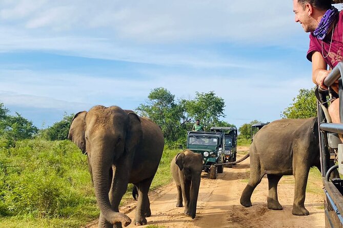 Udawalawe National Park Half Day Jeep Safari (Private Tour) - Frequently Asked Questions