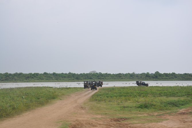 Udawalawe National Park Safari From Kalutara - Additional Details