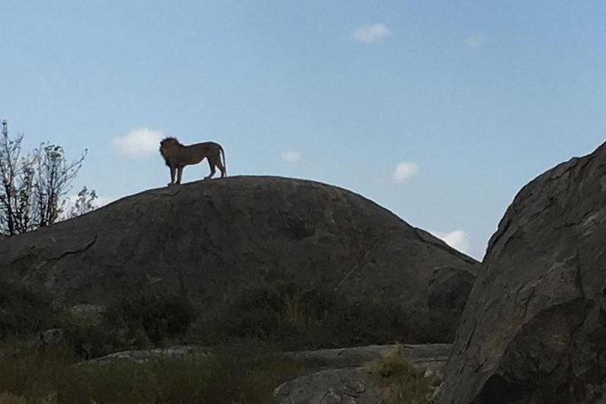 Udzungwa Mountains National Park and Mikumi National Park (5 Days) - Day-by-Day Itinerary