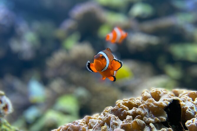 Ukulhas Tour C - Snorkeling & Island Hopping Tour - Cancellation Policy