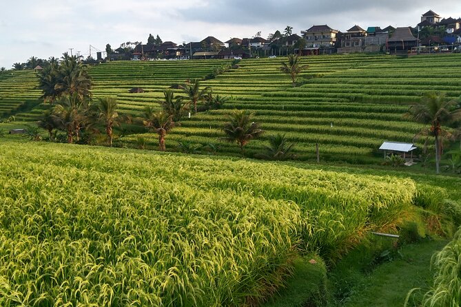 Ultimate Private 2 Days 1 Night North East Bali - Meeting and Pickup Instructions