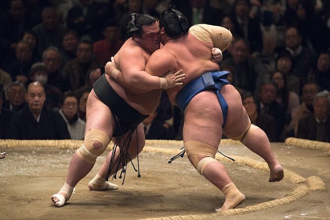 Ultimate Sumo Grand Tour: Lunch, Tickets & Sumo Expert Provided - Wheelchair and Stroller Accessibility