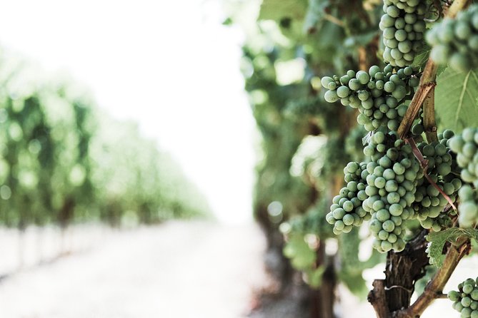 Umbria Food & Wine- 8 Nights Private Tour - Additional Information
