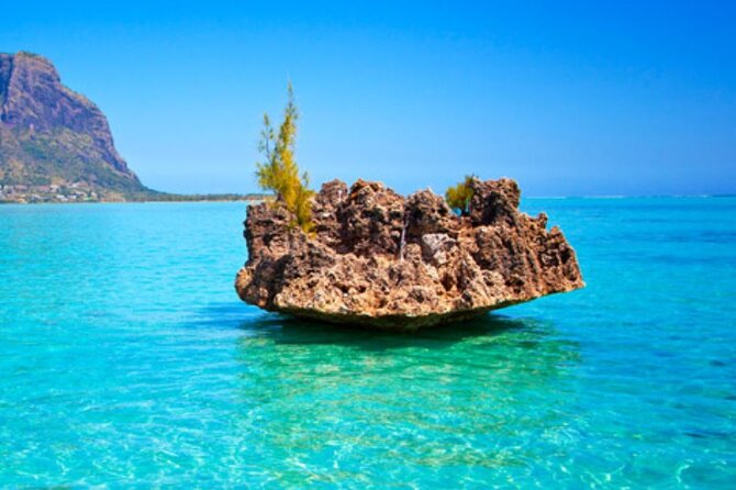 Unforgettable Experience to Discover the West Coast on Catamaran