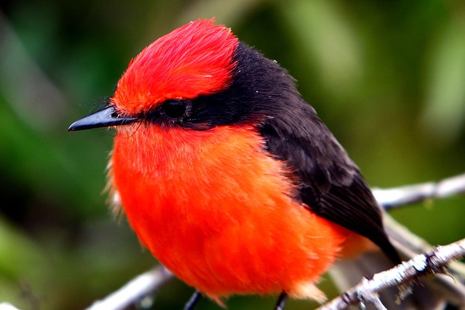 Unique Amazon Sustaintable Comunities Encounter in Ecuador - Natural Attractions