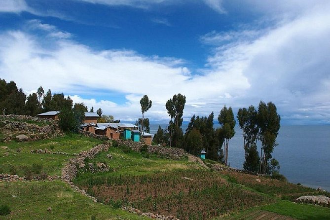 Uros and Taquile Island Full Day Tour From Puno - Booking Information