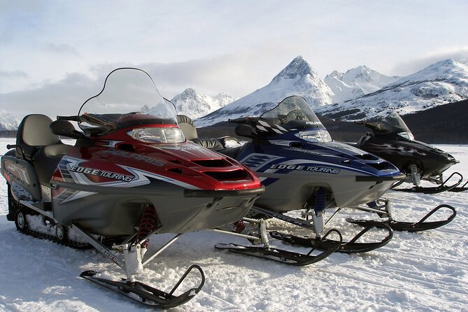 Ushuaia: Snow & Fire: Dog Sled and Snowshow By Night - Cancellation Policy