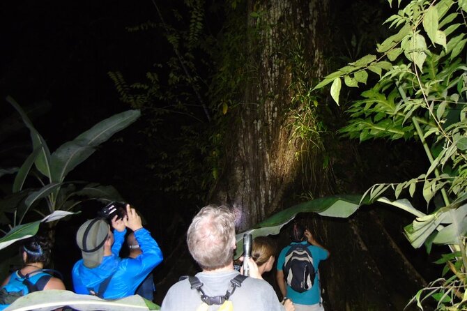 Uvita: Nature and Wildlife Night Tour in Tropical Forest -Private - Schedule and Timing