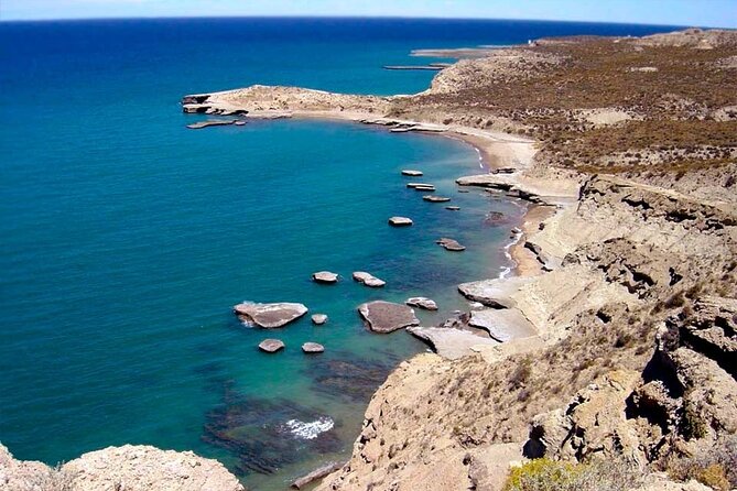 Valdés Peninsula - Full Day Excursion - Operator Details: Receptivo Aborigen Tours