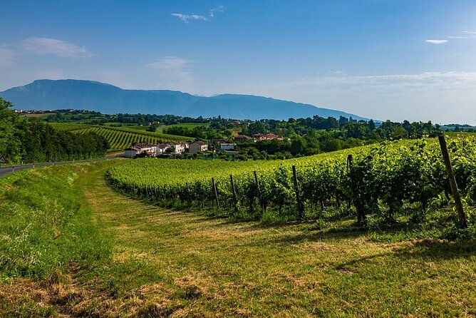 Valdobbiadene 2 Days Between Wine, Food and Culture - Additional Information