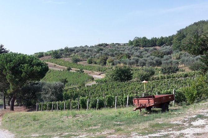 Venosa, an Ancient Roman Colony and City of Aglianico Wine - Archaeological Park: Entrance Details