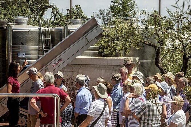 Vesuvius Wine Tasting Tour From Naples With Lunch - Meeting and Pickup