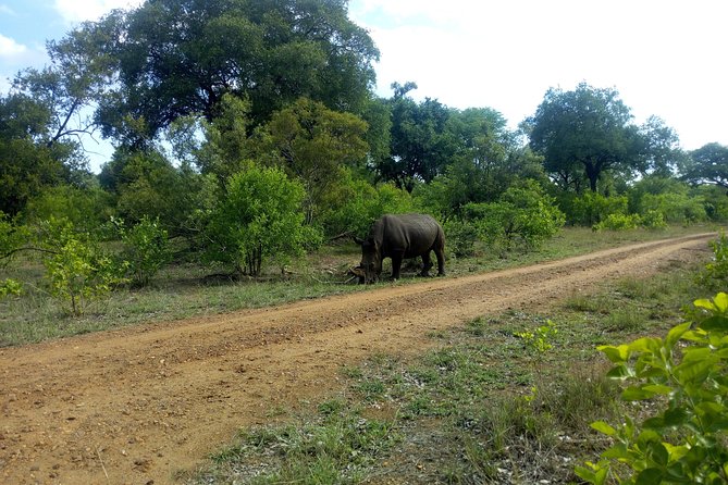 Victoria Falls Day Trips From Kasane Botswana - Pickup Information
