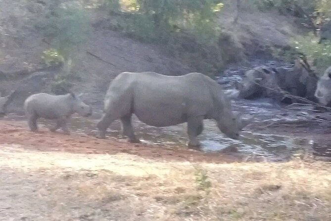Victoria Falls Experience - Private Tour and Cancellation Policy