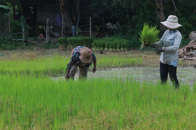 Village Cycling Tour (Private) - Booking Process
