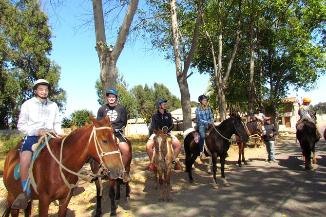 Viña Del Mar and Valparaiso Private Tour Including Horseriding - Tour Operator Details