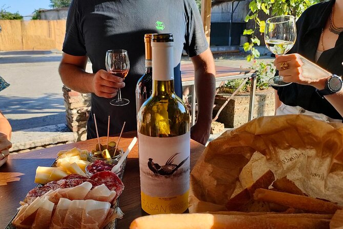 Vineyard Tour and Wine Tasting in Cavaion Veronese - Accessibility Features