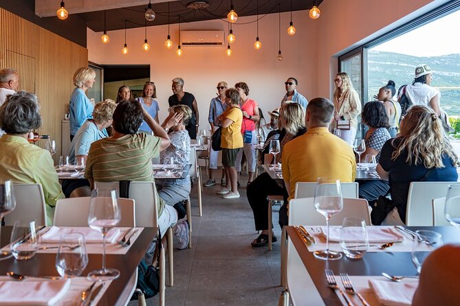 Vineyard Wine Tasting Experience With a Sea View From Split