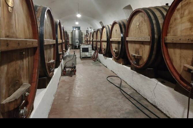 Vineyard Wine Tasting & Soft Lunch & Transfer Included - Visitor Guidelines