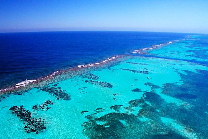 VIP Private Yacht Snorkeling, Shipwreck, Starfish, Transfer Included - Accessibility Features