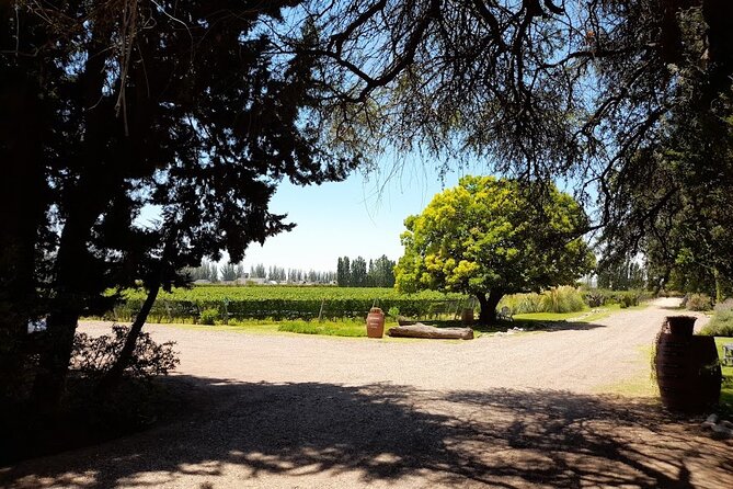 Visit 2 Wineries and Lunch With Unlimited Wine.Private Transfer - Wine Tasting Experience