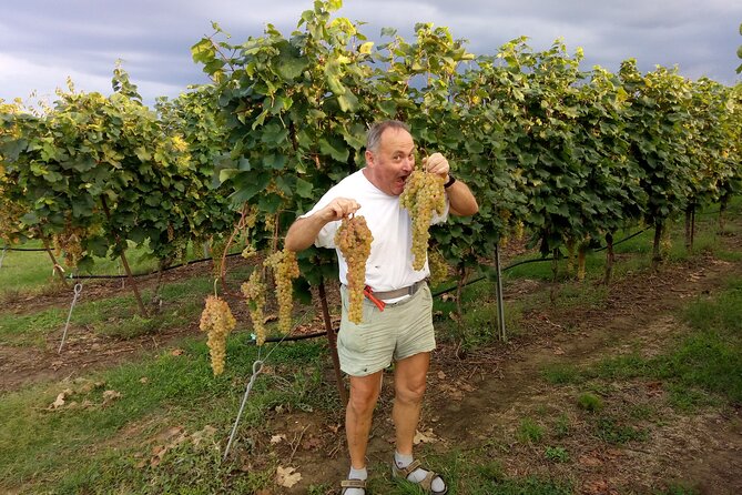 Visit of the Winemaker With Tasting of Typical Products in Faenza - Inclusions and Beverages Provided
