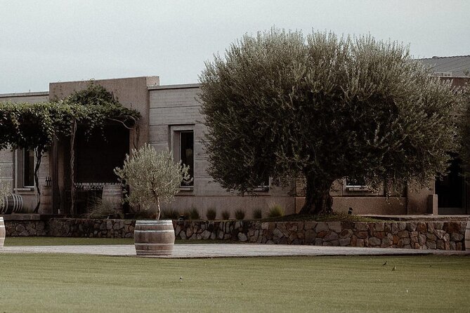 Visit Pulenta Estate Winery and Gourmet Lunch at Susana Balbo - Schedule and Availability