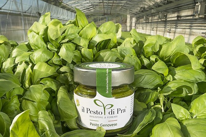 Visit the Basilic Greenhouses and Taste Pesto in Genova Prà - The Sum Up