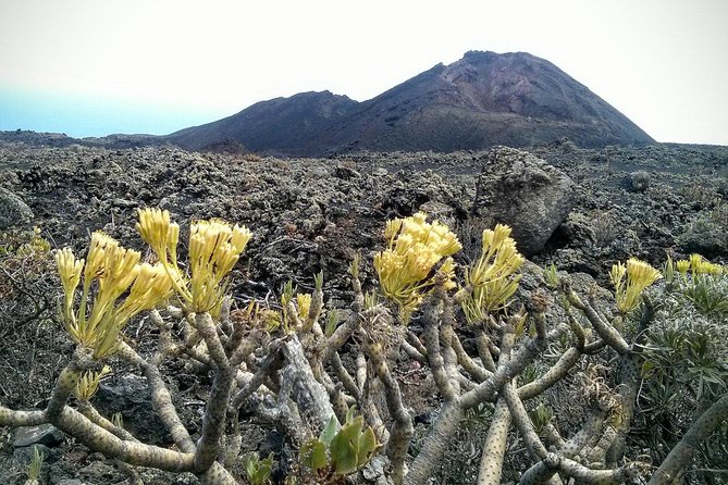 Volcanoes Avenue - Nariz Del Diablo Train Ride - Guayaquil / 3 Day Tour - Pricing and Booking Information