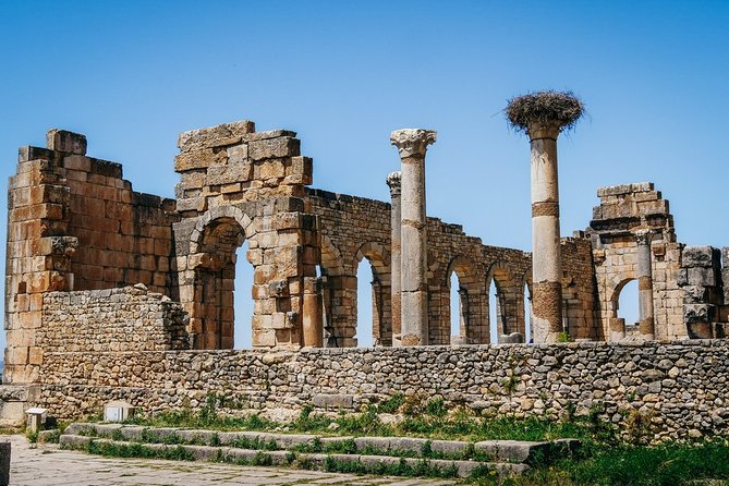 Volubilis & Meknes Day Trip From Fez - What To Expect